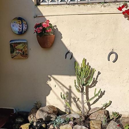 Appartamento Casa in giardino Piombino Esterno foto