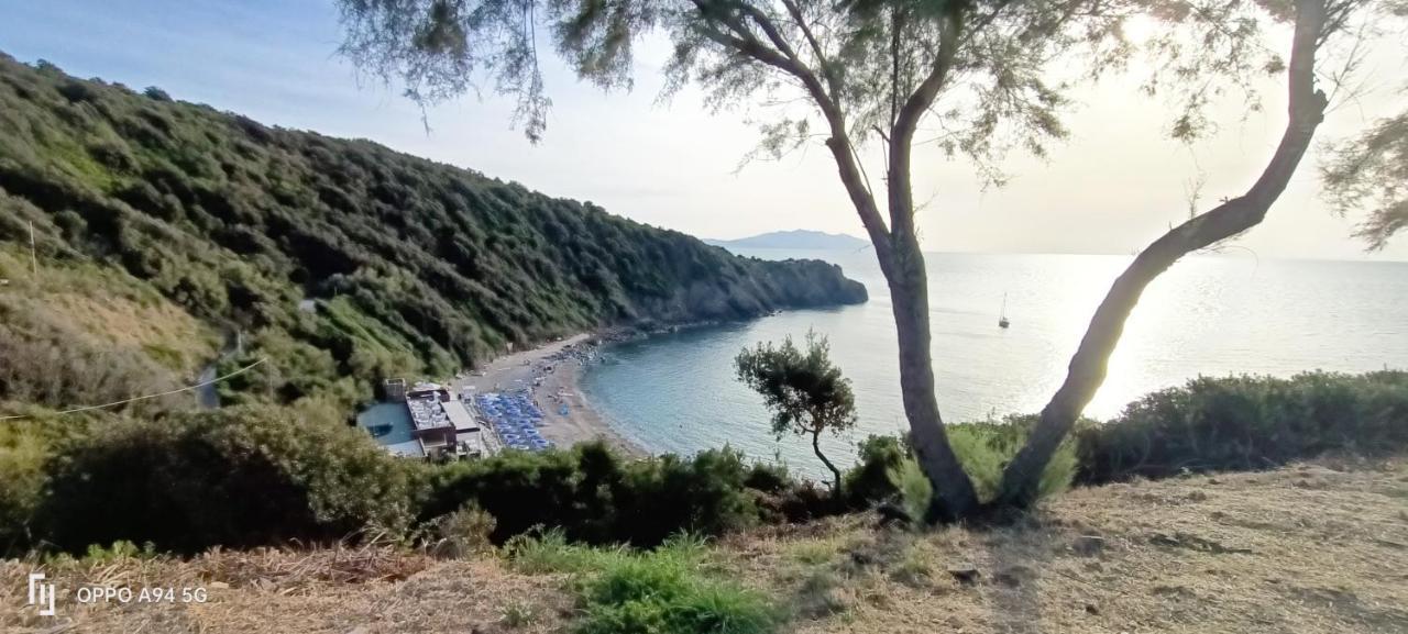 Appartamento Casa in giardino Piombino Esterno foto